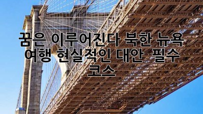 꿈은 이루어진다?! 북한 뉴욕 여행 현실적인 대안 & 필수 코스 🗽